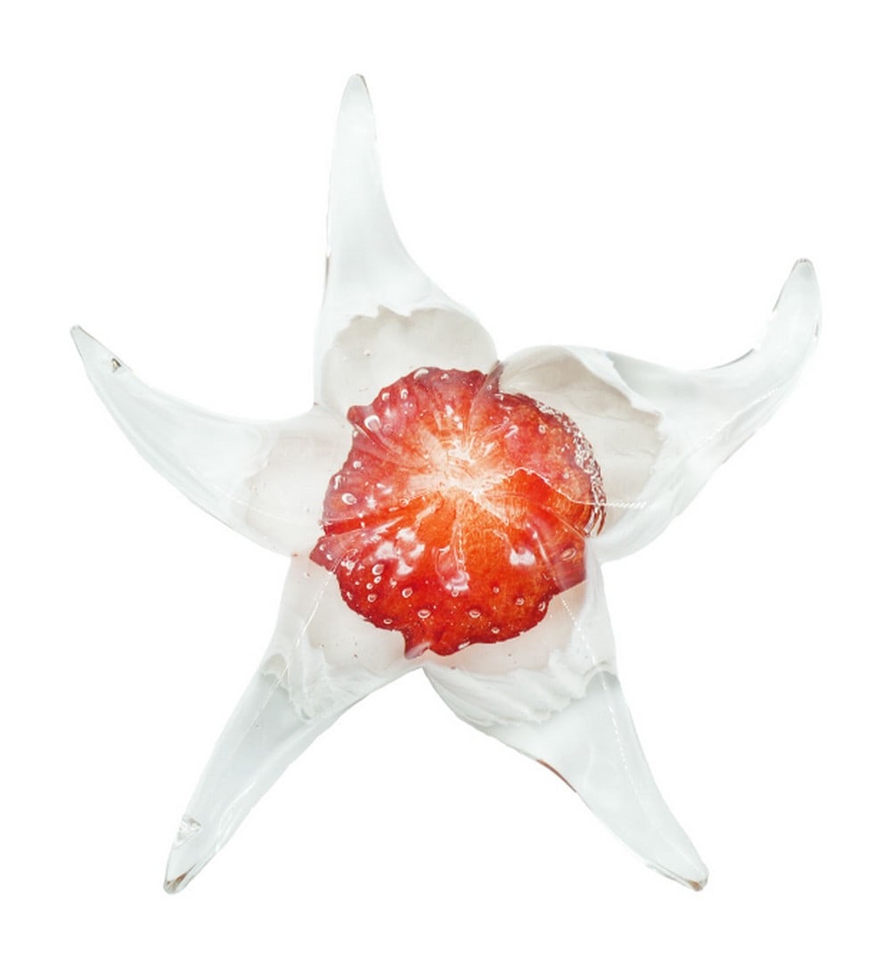 Murano Glass Starfish Sculpture: Murano Glass Starfish Sculpture Handcrafted in Murano using traditional warm glass modeling techniques, this starfish sculpture features rich colors and distinctive shading effects that enhance its de