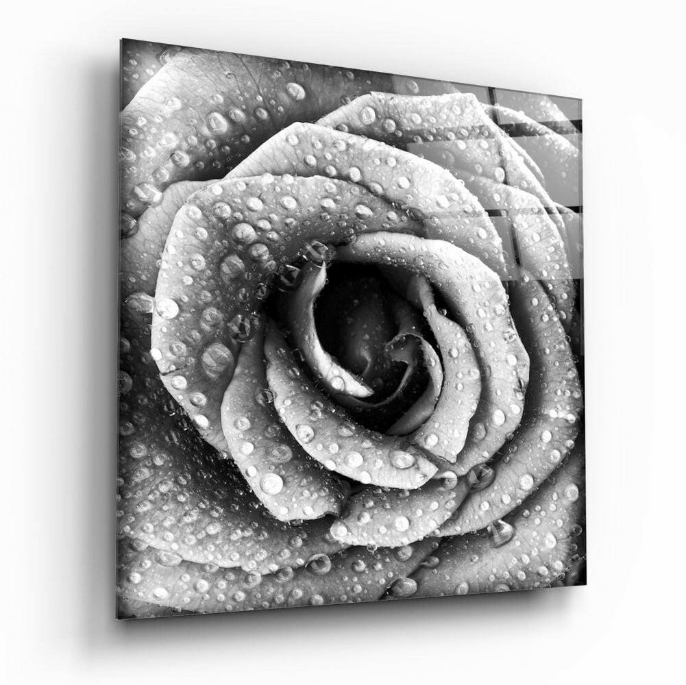 Rose Tempered Glass Wall Art: Rose Tempered Glass Wall Art This tempered glass wall art features a detailed rose composition, highlighting the layered petals and natural symmetry of the bloom. The refined tones and subtle gradient