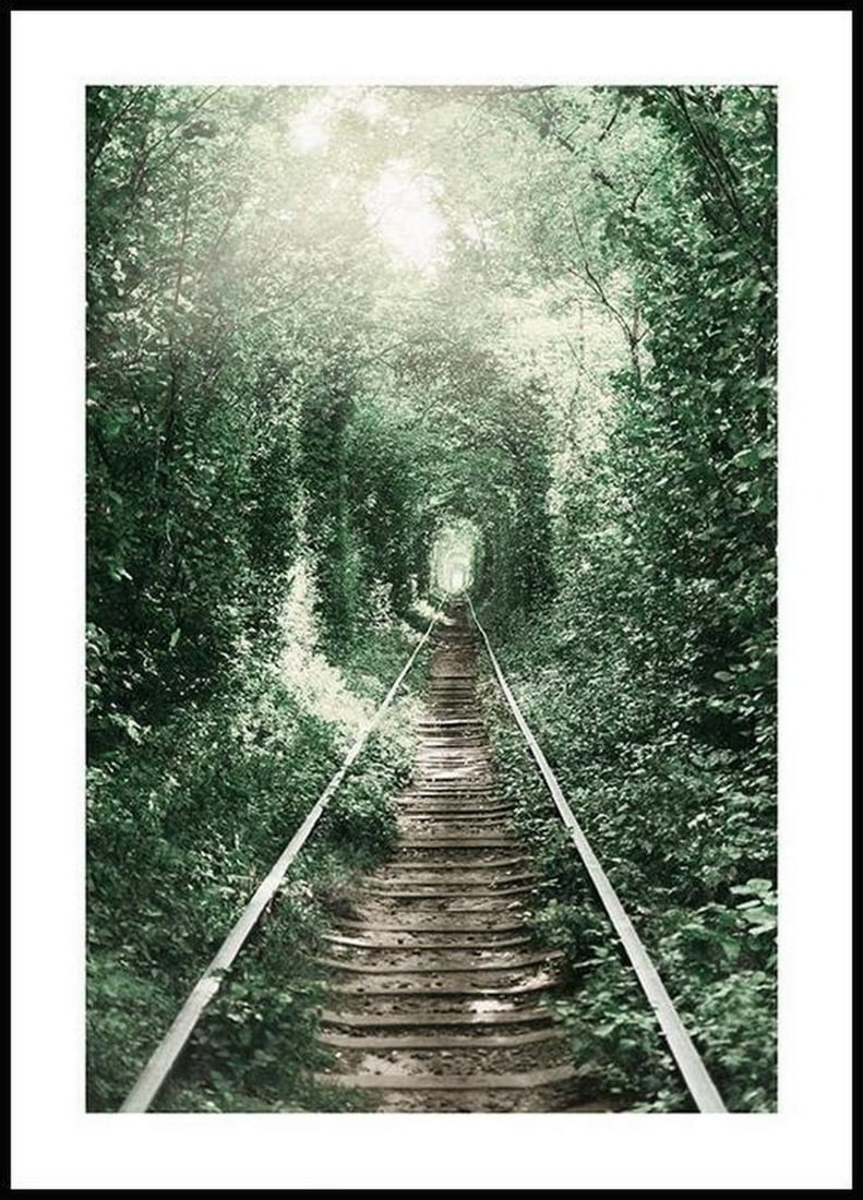 Infamous Tunnel Of Love Poster: Infamous Tunnel Of Love Poster Romantic nature poster of a densely overgrown railway line. The " Tunnel of Love" is a lucky charm for lovers and is hidden in the forests of the village Klewan,