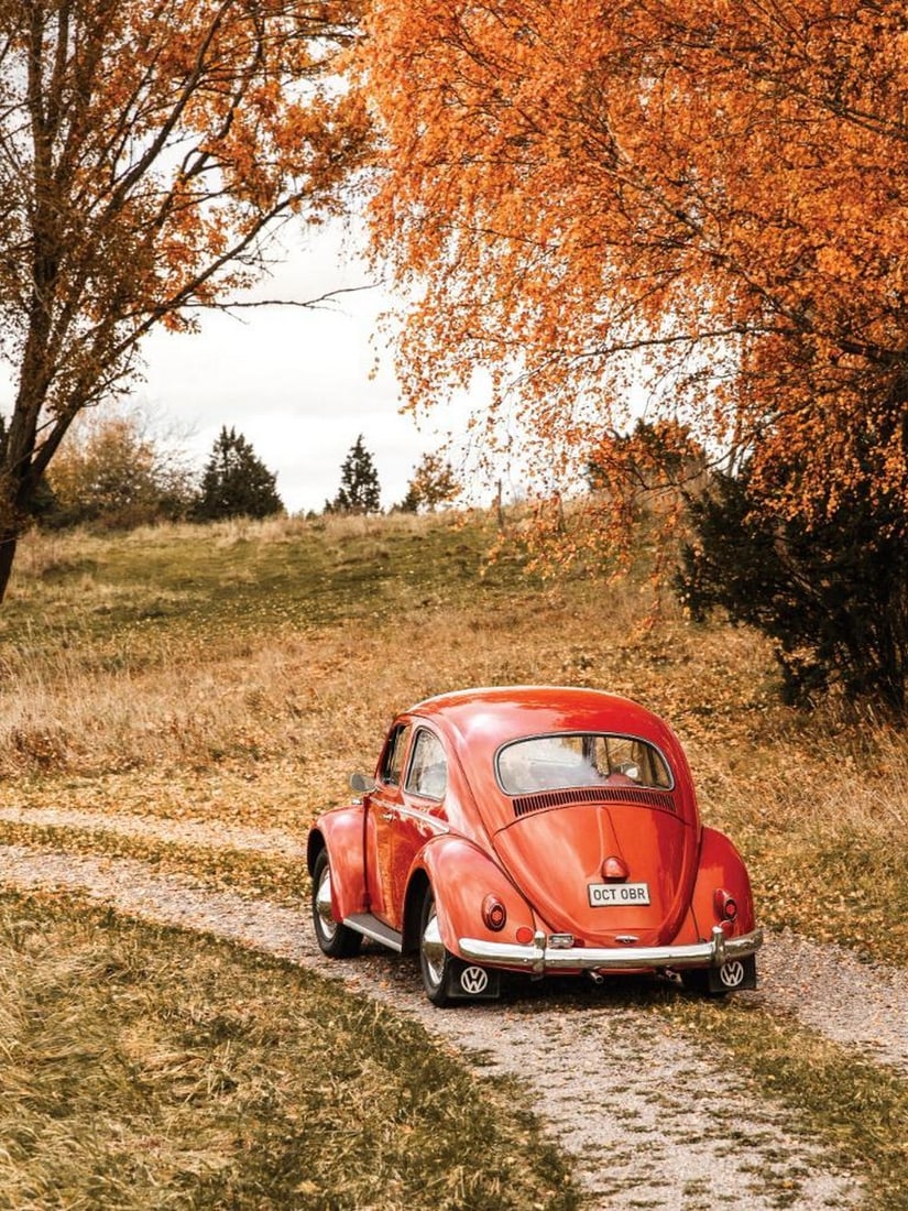Autumn Ride Poster: Autumn Ride Poster A poster showcasing a shiny vintage red car driving along a gravel road, surrounded by vibrant orange and golden autumn leaves. The scene captures the warmth and colors of the fall 