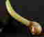 item-75143347=3