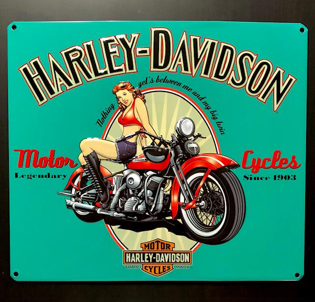 HARLEY DAVIDSON Embossed Tin Advertising Sign: Designed by ANDE ROONEY - Officially Licensed by HARLEY-DAVIDSON - Approximately 15 X 14