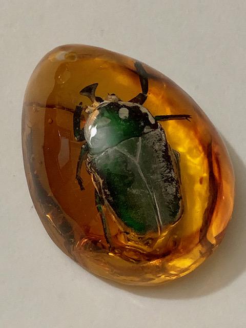 Amber Cased Teardrop Amulet Fossilized Green Beetle Bug: Awesome Looking Piece â€“ See all Photos â€“ This is Artificial Amber