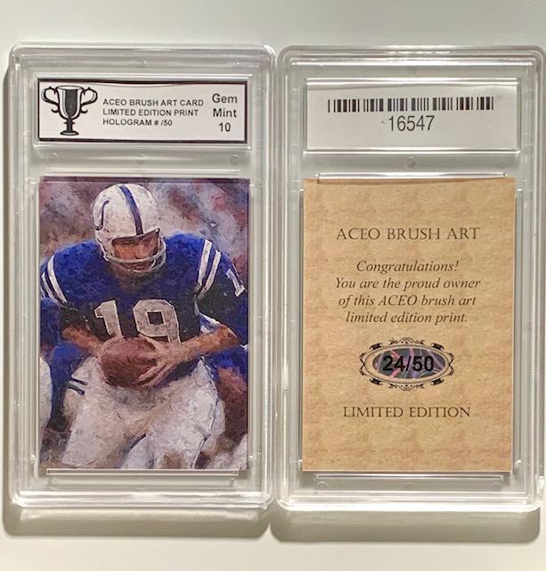 Rare 24/50 JOHNNY UNITAS Brush Art Gem 10 Football Card (1 of 1)