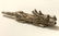 Tibetan Silver Dragon Tobacco Pipe Rod w/Old Hallmarks - 5