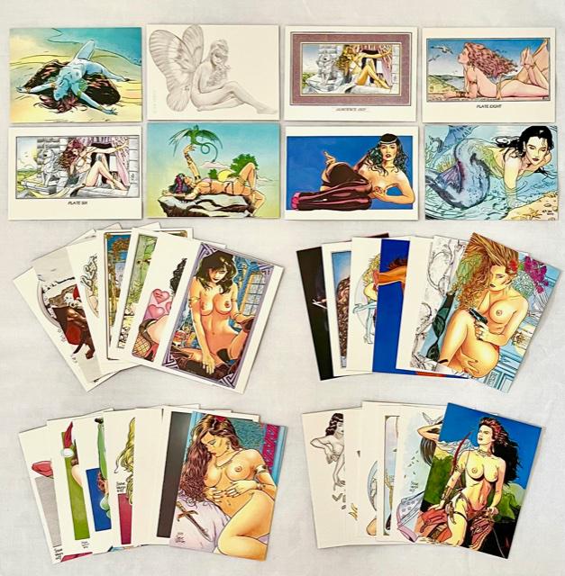 35 STEVE WORON Adult Only Female Fantasy Trading Cards: GROUP A - Lot of 35 STEVE WORON Adult Only Female Fantasy Illustration Studio Art Trading Cards â€“ Hard to Find â€“ Beautiful Condition â€“ NO DUPLICATES - Multiple Photos Posted