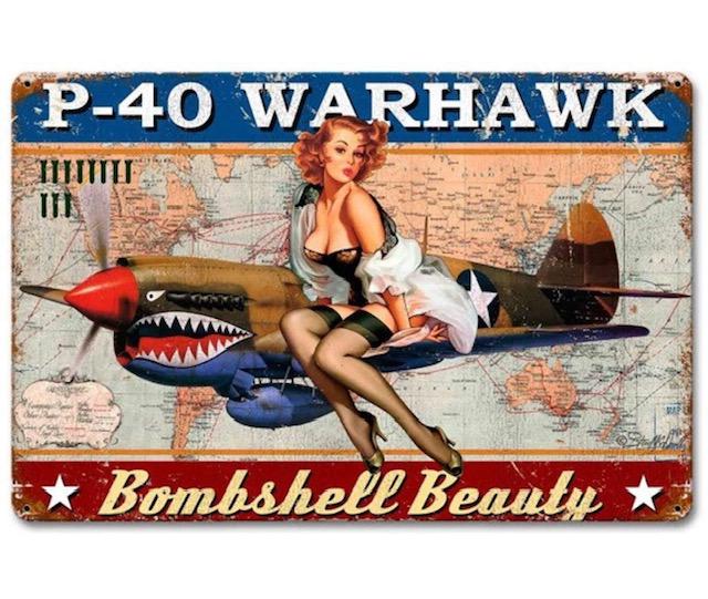 Retro WW2 Risque Art P-40 Warhawk Metal Sign (1 of 1)