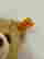 item-131232424=2