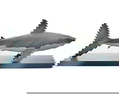 Rare LLADRO Museum 30-Inch-Long Porcelain Great White Shark: This is an unbelievable and extremely Rare LLADRO Museum quality 30-Inch-Long Porcelain Great White Shark that also comes with the LLADRO Issued Display Board. The quality and detail is unmatched. It