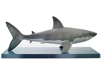 Rare LLADRO Museum 30-Inch-Long Porcelain Great White Shark: This is an unbelievable and extremely Rare LLADRO Museum quality 30-Inch-Long Porcelain Great White Shark that also comes with the LLADRO Issued Display Board. The quality and detail is unmatched. It