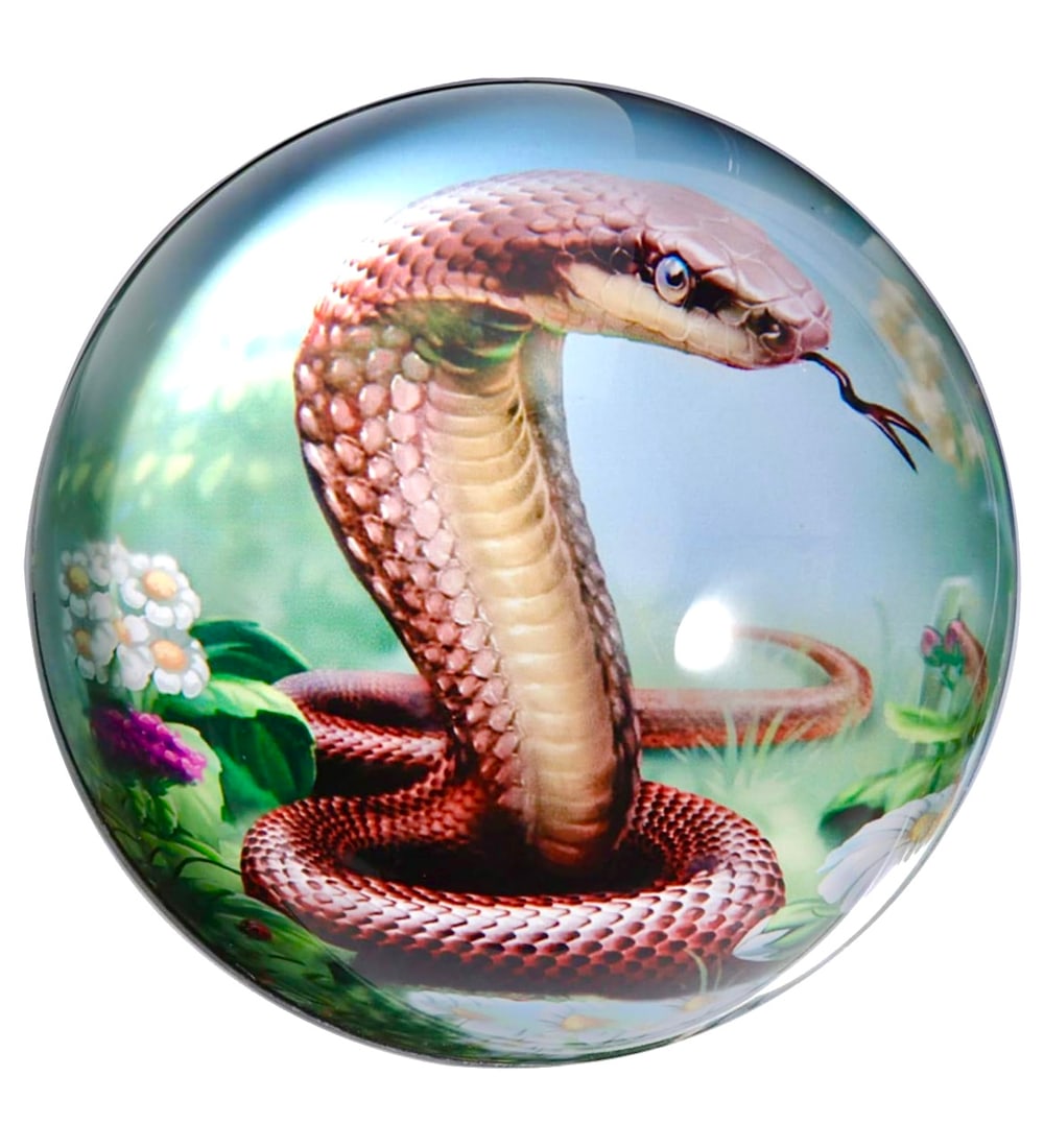 Awesome KING COBRA Acrylic - Lucite Paperweight: Great Looking Piece – Perfect Condition – Original Box – Multiple Photos Posted
