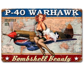 Distressed WW2 Pin Up Girl Bombshell Beauty 8 x 10 Metal Sign