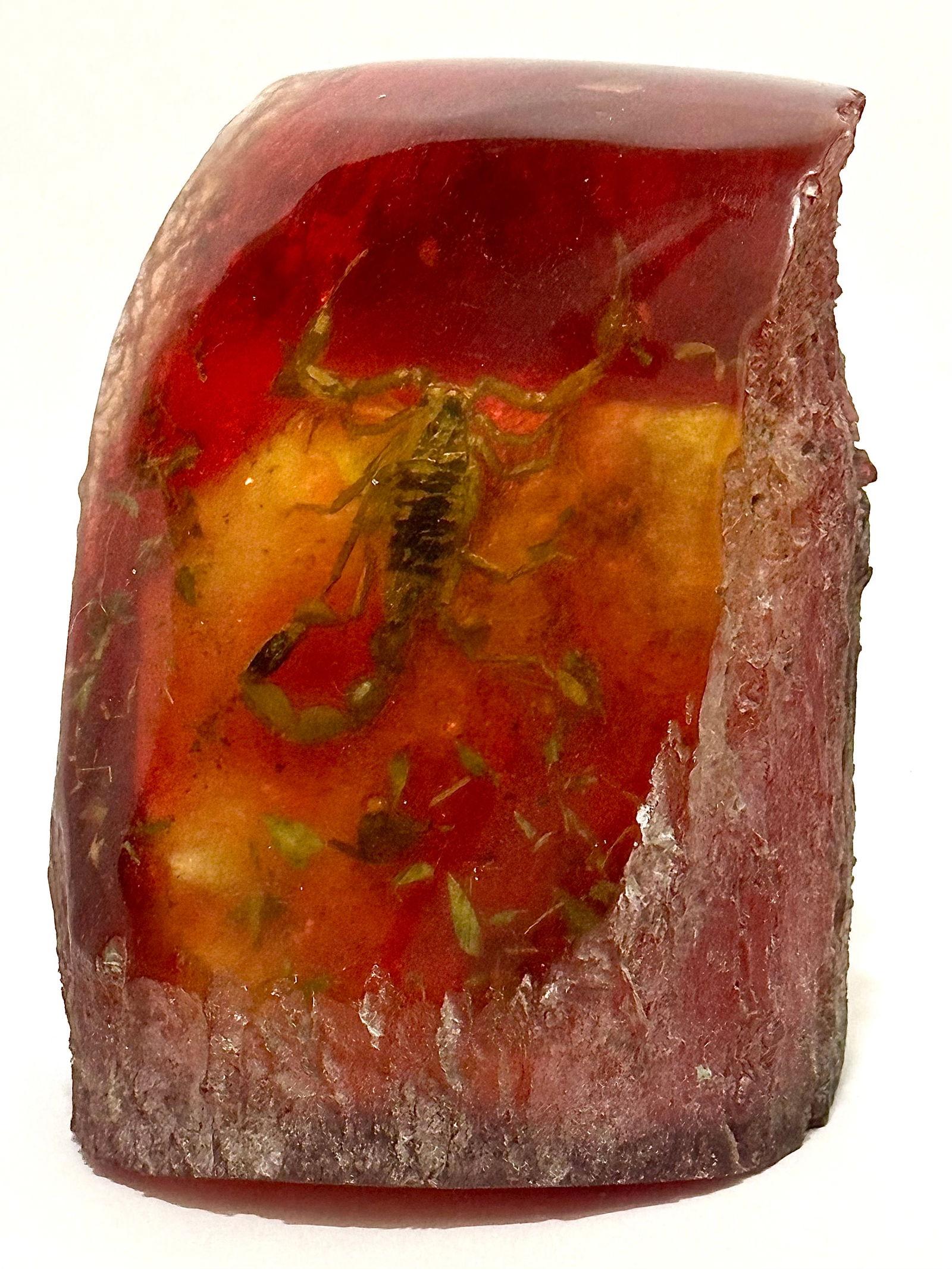 Genuine Fossilized Scorpion in Tree Trunk Style Amber (1 of 3)