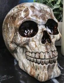 Day of The Dead Agate Gemstone Volcanic Rock Ossuary Skull