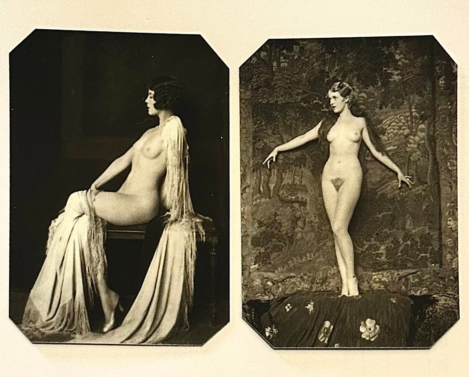 Lot of 2 Art Nouveau Risque Brothel Lineup Tin Type Photographs (1 of 1)
