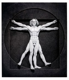 Awesome Leonardo Da Vinci Vitruvian Man Wall Sculpture