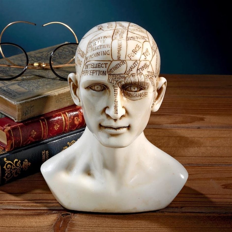 Victorian Phrenology the Science of the Brain Sculpture: This Piece was a Popular 19 th Century Parlor Game and Décor. This Phrenology bust will help you amaze friends by deciphering their fate and literally reading the bumps on their heads via the numerou