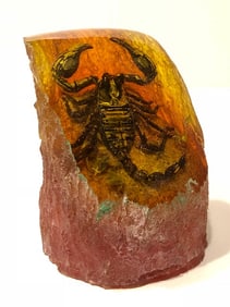 Genuine Fossilized Scorpion in Tree Trunk Style Amber