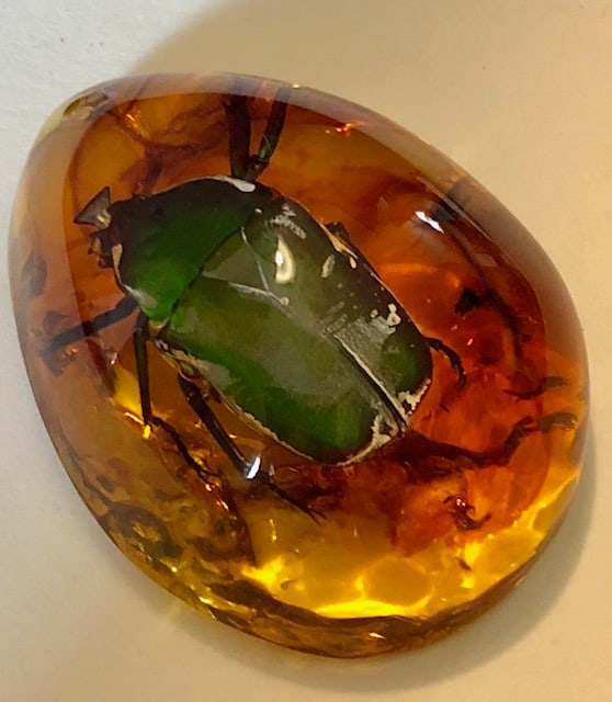 Amber Encased Fossilized Green BEETLE BUG Tear Drop Amulet: See all Photos – Great Piece – This is not real tree sap amber. It is artificial amber. Multiple Photos Posted