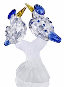 Awesome Austrian Crystal Malachite Kingfisher Birds