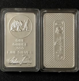 1oz SILVER TOWNE Encapsulated Silver Bar