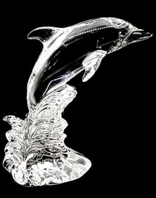 Wonders of the Wild German Crystal Breaching DOLPHIN