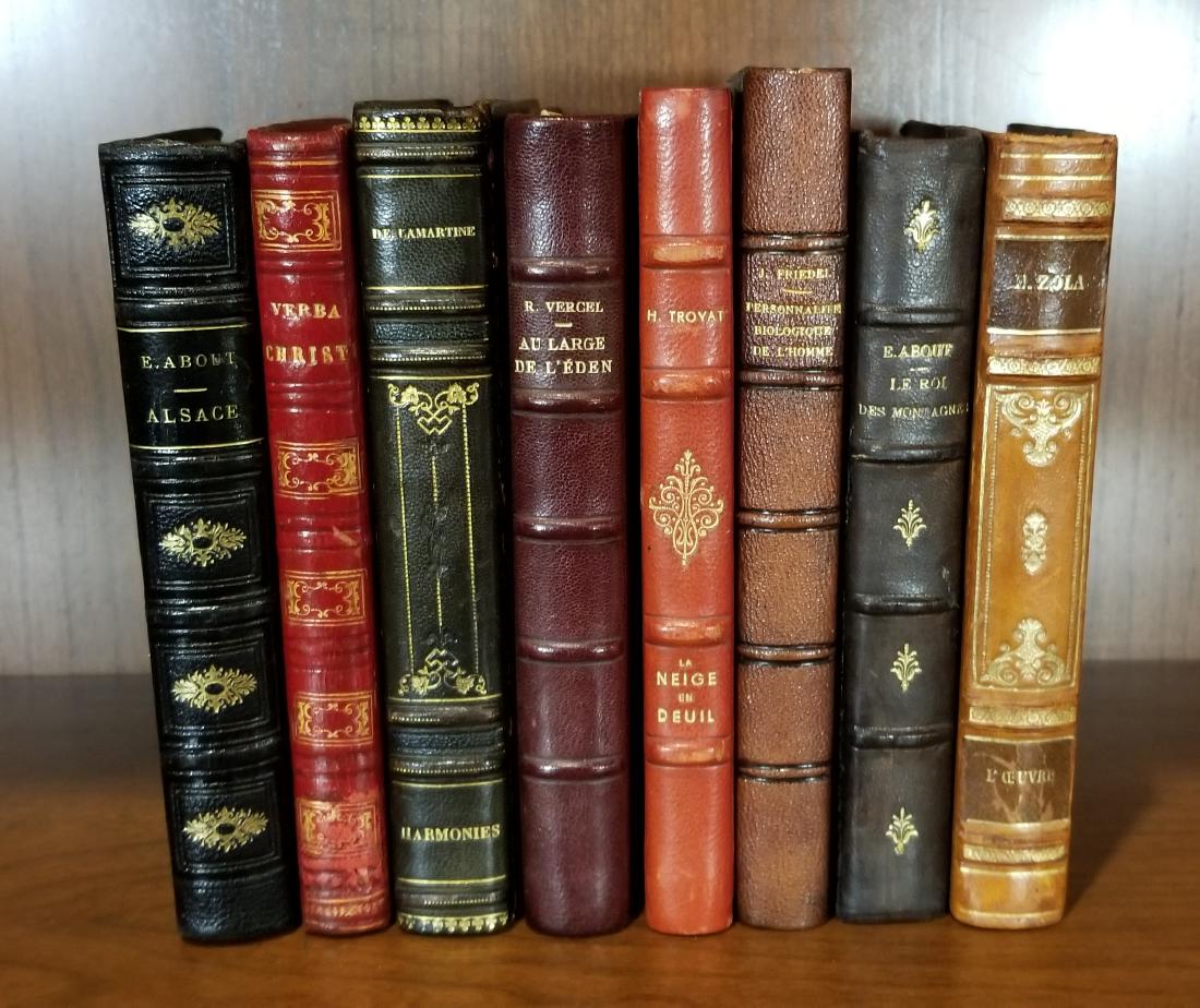 Decorative French Leather Bound Books (8) (1 of 5)