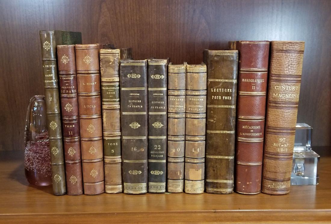 Decorative French Leather Bound Books (11) (1 of 7)