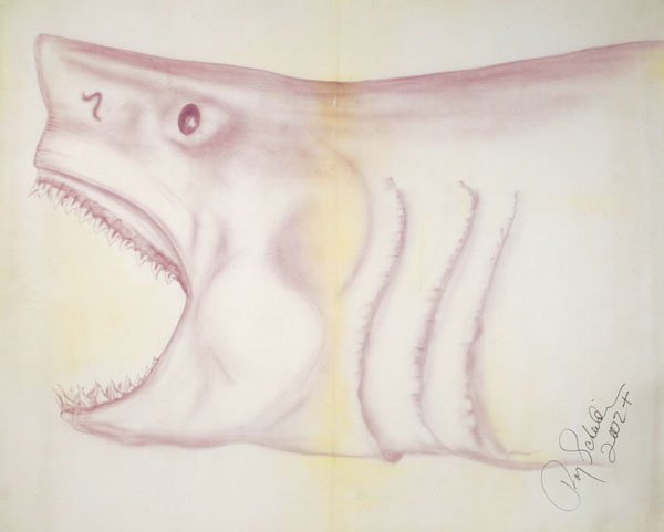 "Jaws" Concept Art Autographed By Roy Scheider: Concept art related to "Jaws" (Universal, 1975). Linen-backed sketch (approx. 5' x 6') of the great white shark. Used for the production of the mechanized shark model that appeared in many scenes. Tog