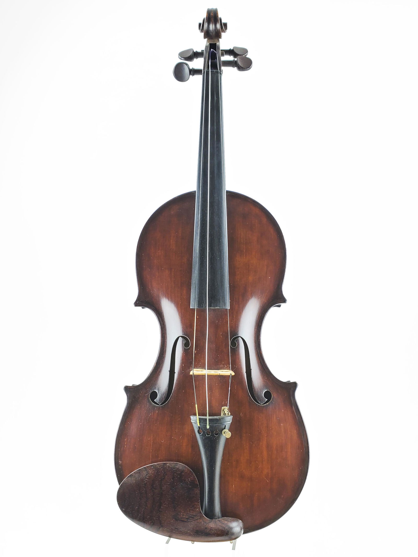 Unlabeled Violin (1 of 7)