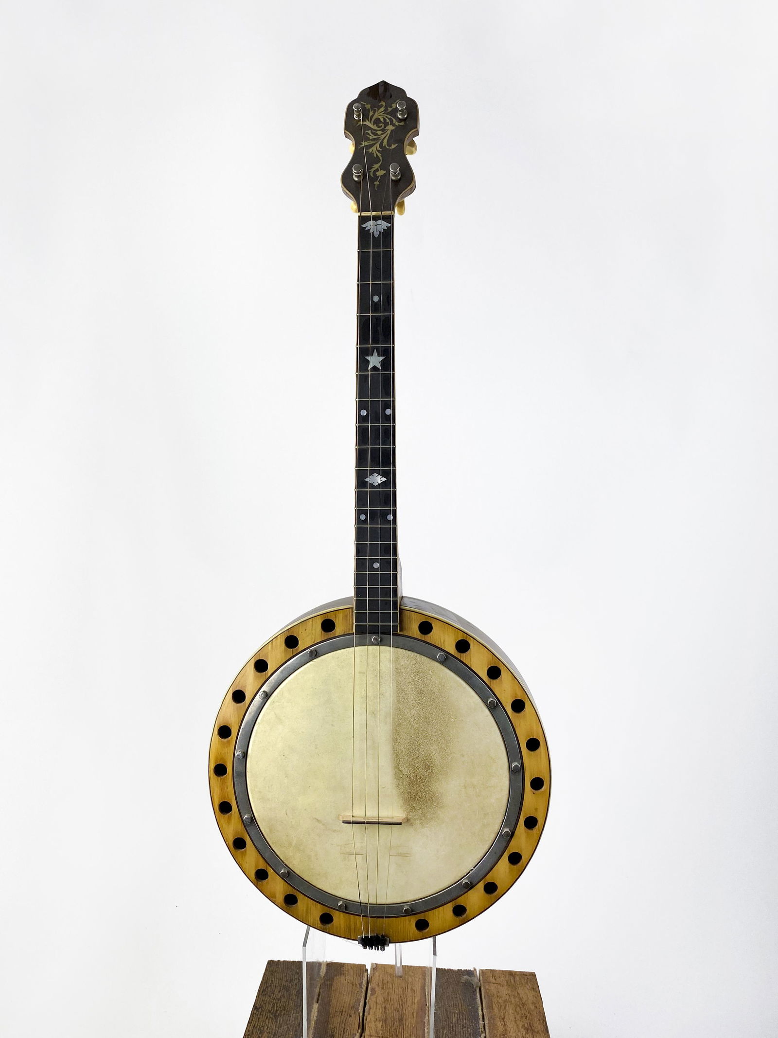Schmick Tenor Banjo (1 of 6)