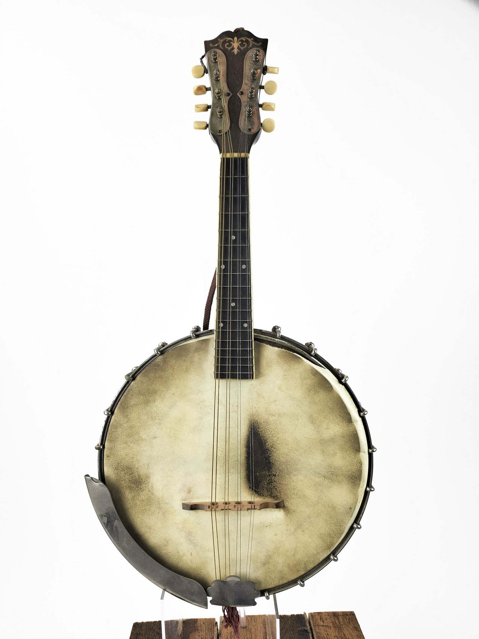 Weymann Banjolin Banjo (1 of 9)