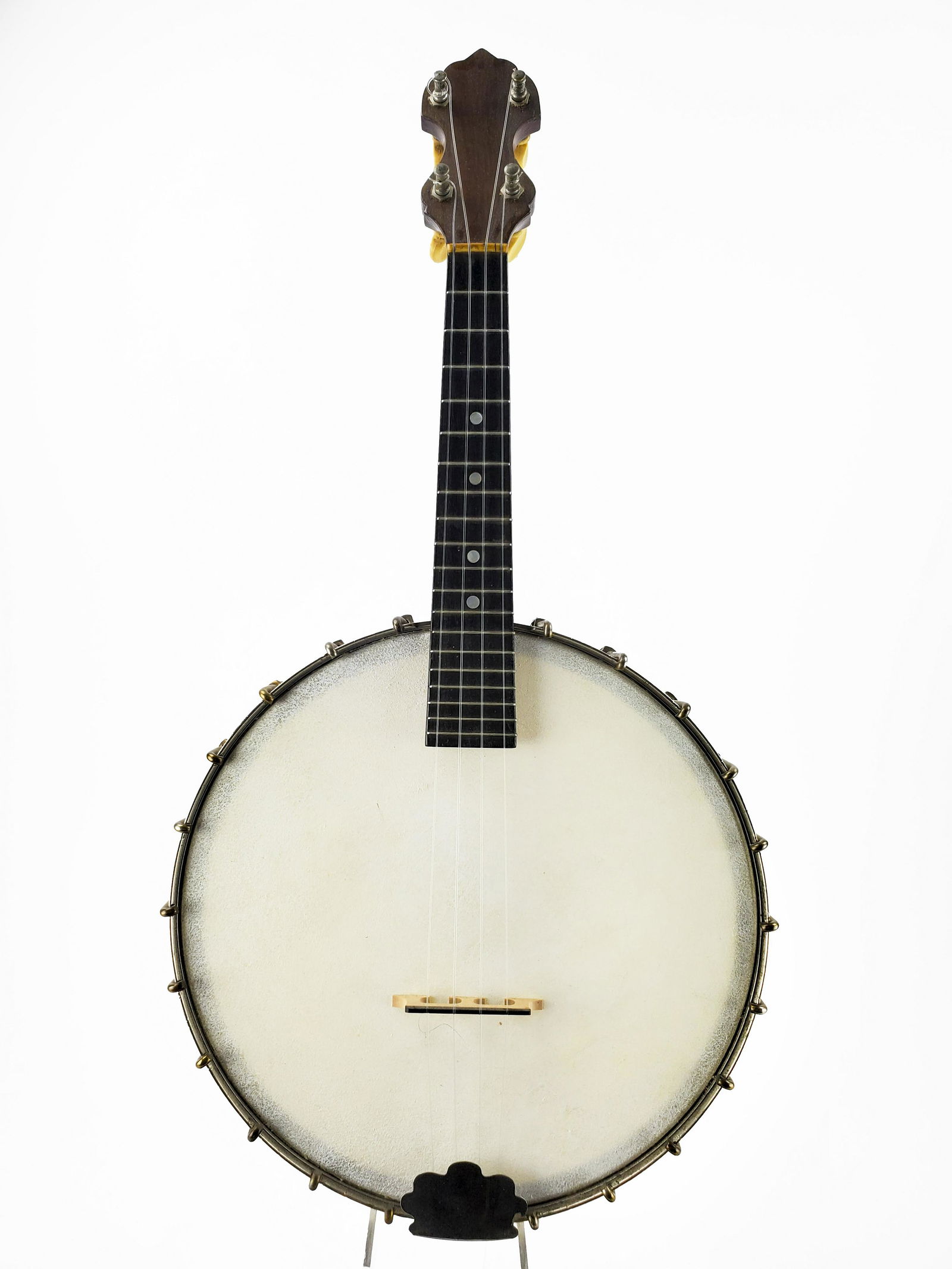 A.C. Fairbanks Banjo (1 of 4)