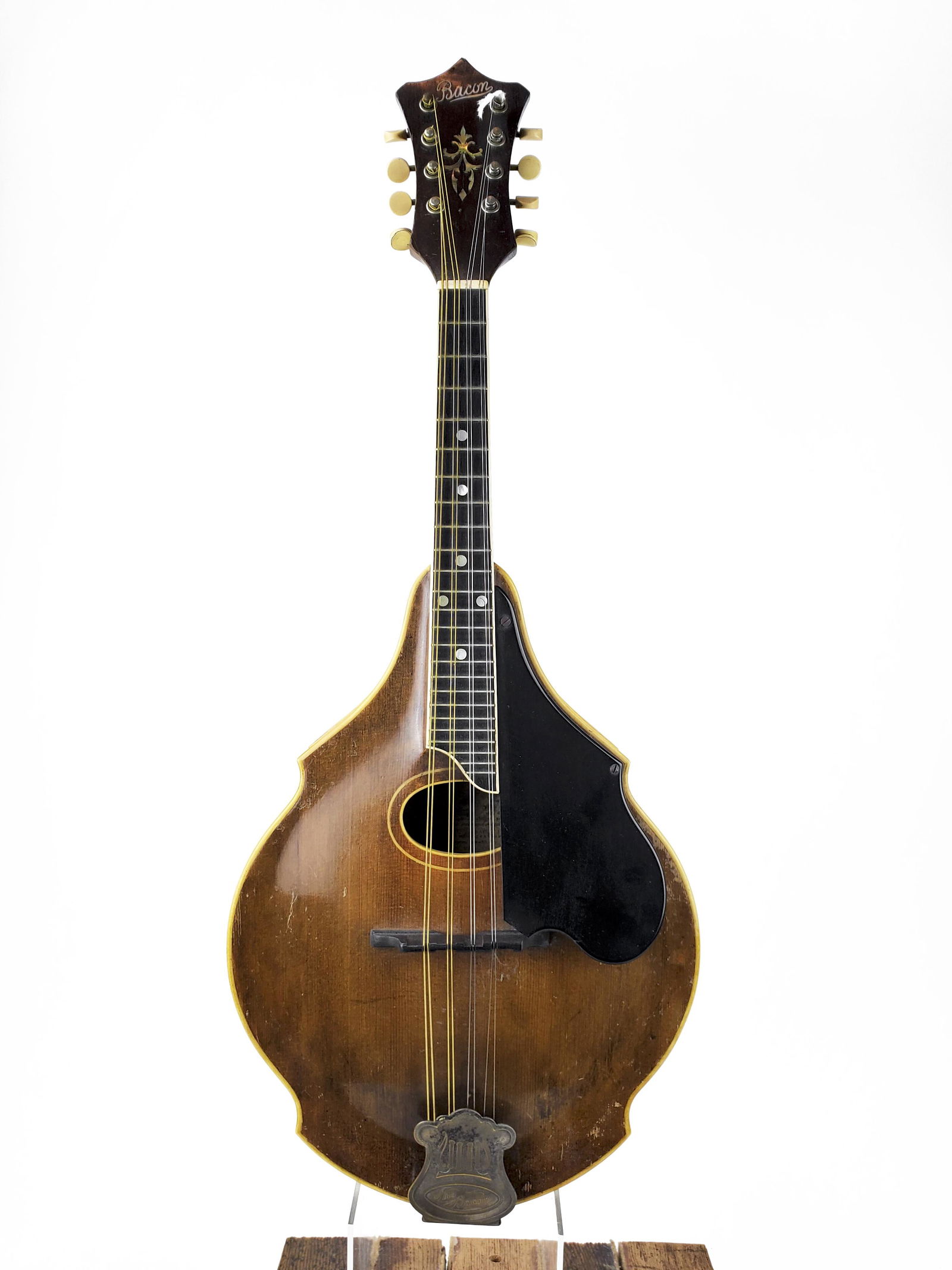 "The Bacon" Mandolin (1 of 13)