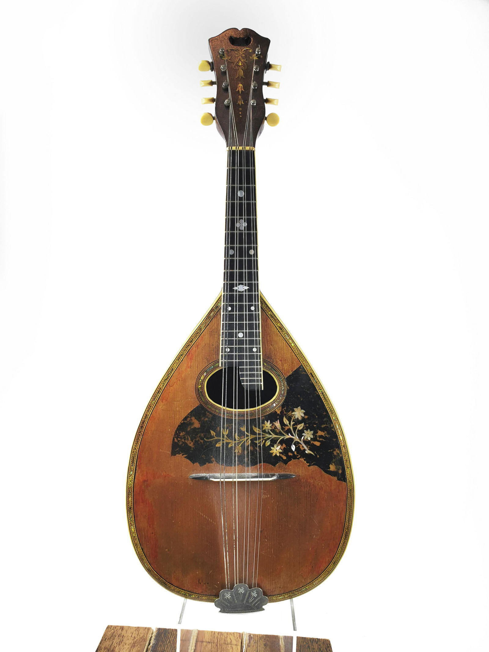 Stahl Mandolin (1 of 7)