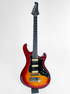 B.B. King’s Vintage Gibson Victory MVX (Early 80’s)