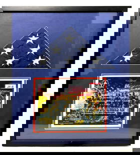 9/11 U.S. Flag Flown Over Baghdad: Flag folded, in display, framed 22.25" x 19.75" This American Flag was flown over Camp Fernandez in Baghdad, Iraq on 11 September, 2011 in support of Global War on Terror. As this Flag was flown,