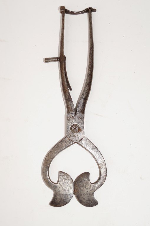 18th C. Sugar Nippers: 11"L