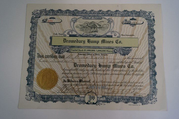 Dromedary Hump Mines Co.: Nevada - 1907 - A scripophily oddity with a unique and uncommon vignette of a camel in the desert. Colorful printing with a blue border - green banner for the title and glitter gold seal and body prin