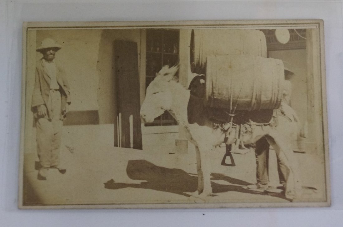 Cartes De Viste - Burro and Barrels: By N. Brown and Son, photographers, with a backstamp. Southwestern street scene with man and burrow with barrels above a saddle and stirrups. 2.5x4".