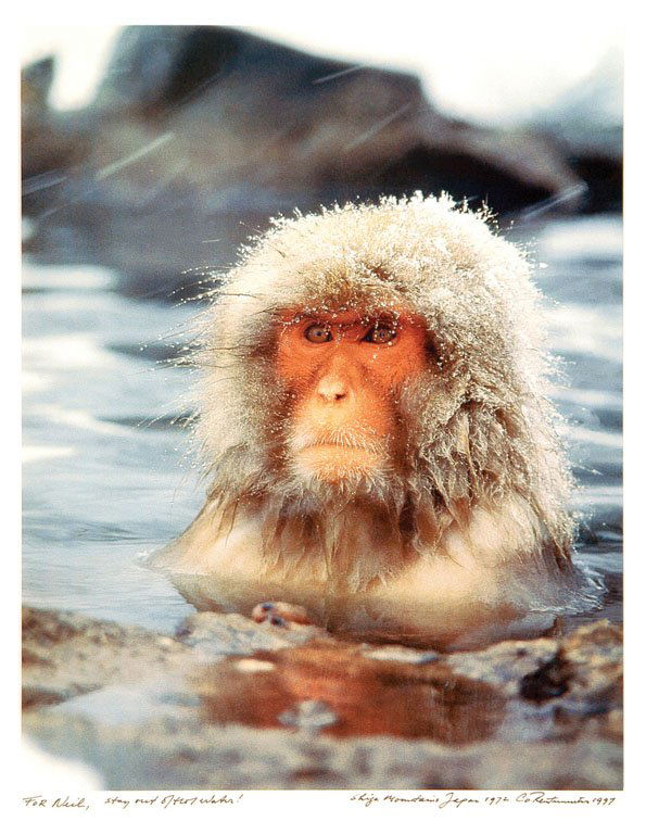 Co Rentmeester (b. 1936) (1 of 1)