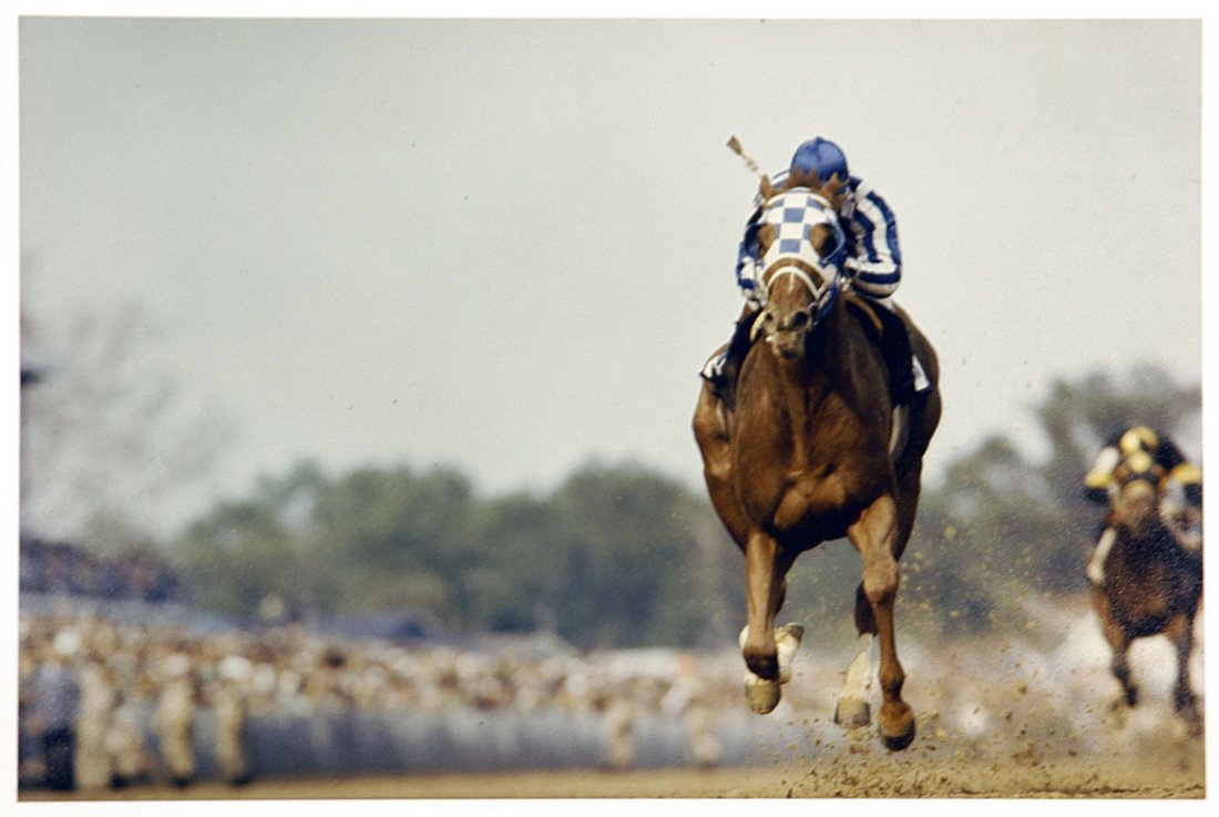 Secretariat at the 1973 Kentucky Derby (1 of 1)