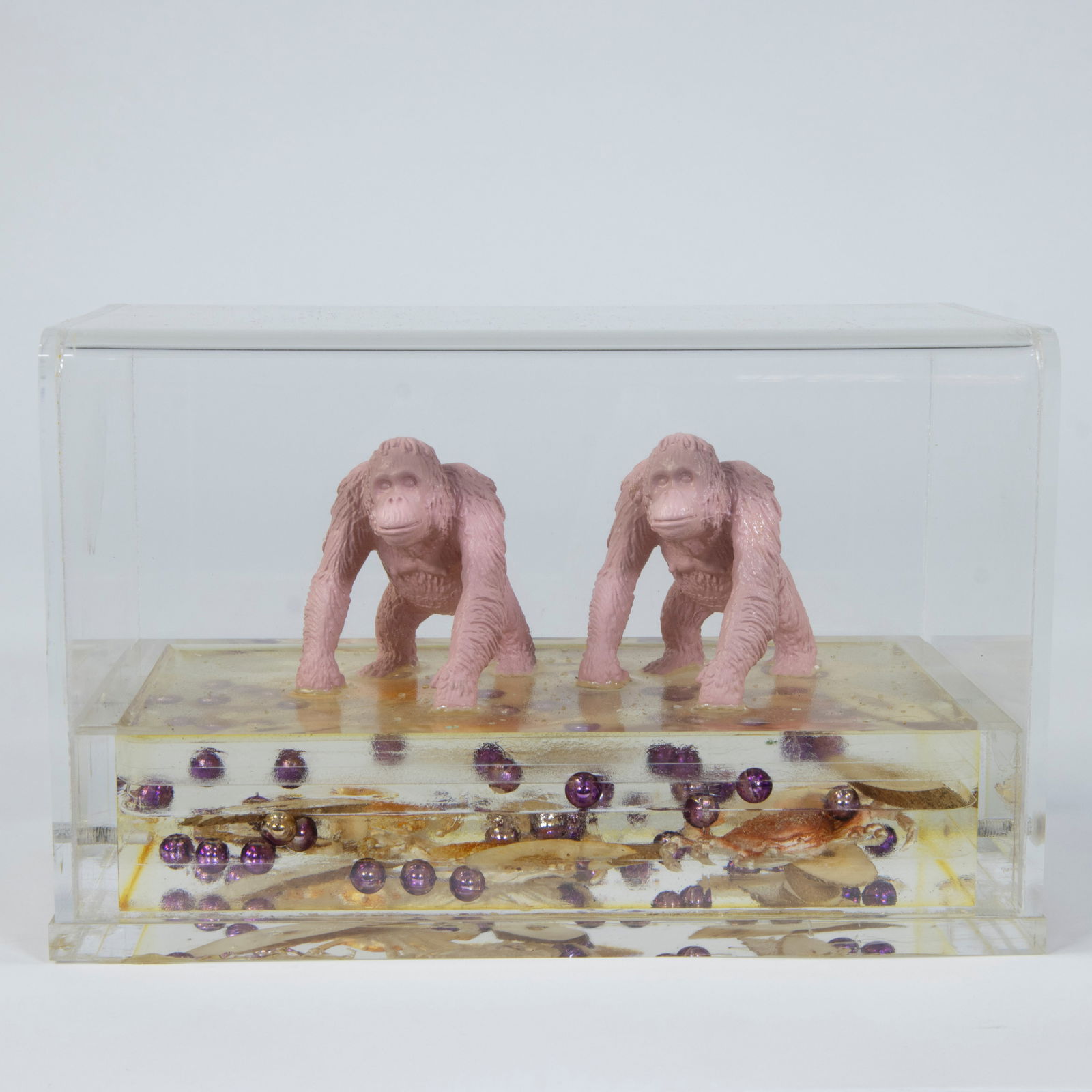 William SWEETLOVE (1949), 2 cloned gorillas in plexi box: William SWEETLOVE (1949), 2 cloned gorillas in plexi boxWilliam SWEETLOVE (1949), 2 gekloonde gorilla's in plexi box13.5 x 21 x 12 cm