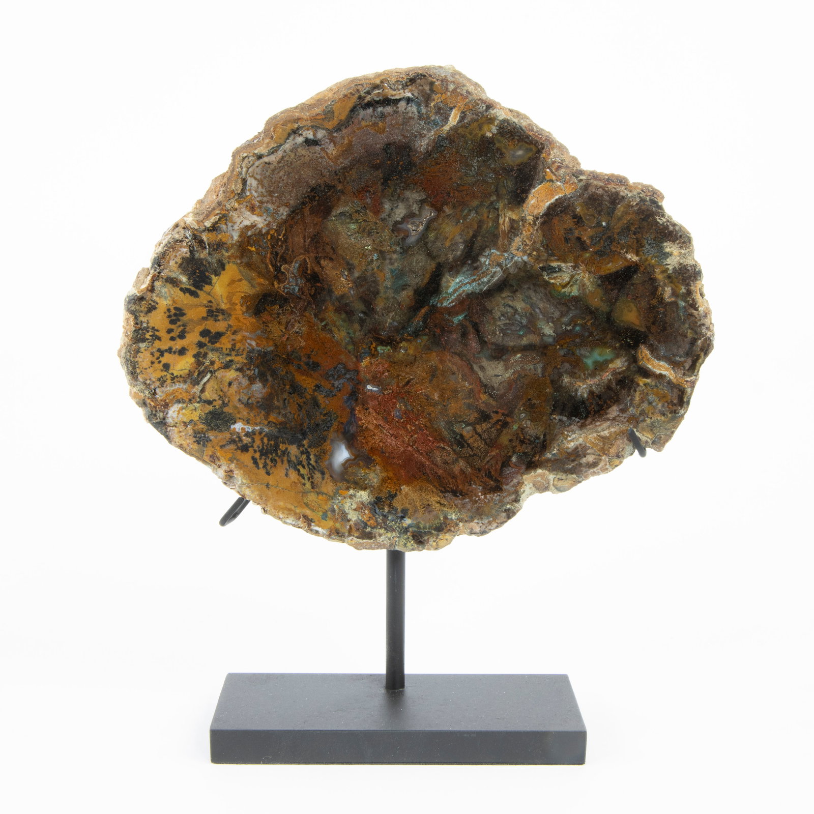 Colla fossil wood Eocene (50 million y), Tokat Province, Turkey: Colla fossil wood Eocene (50 million y), Tokat Province, TurkeyColla fossiel hout Eoceen (50 milj j), Tokat provincie, Turkije14.5 x 17.5 / H 19.5 cm Beautiful colours due to the infiltration of coppe