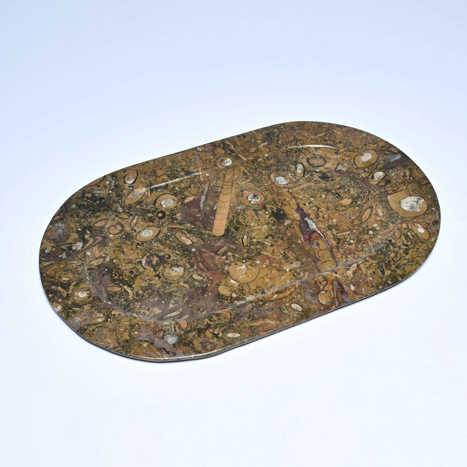 Polished stone slab/dish or 'fossil marble': Polished stone slab/dish or 'fossil marble'Gepolijste steenplaat/schotel of 'fossiel marmer'40.5 x 25 cm