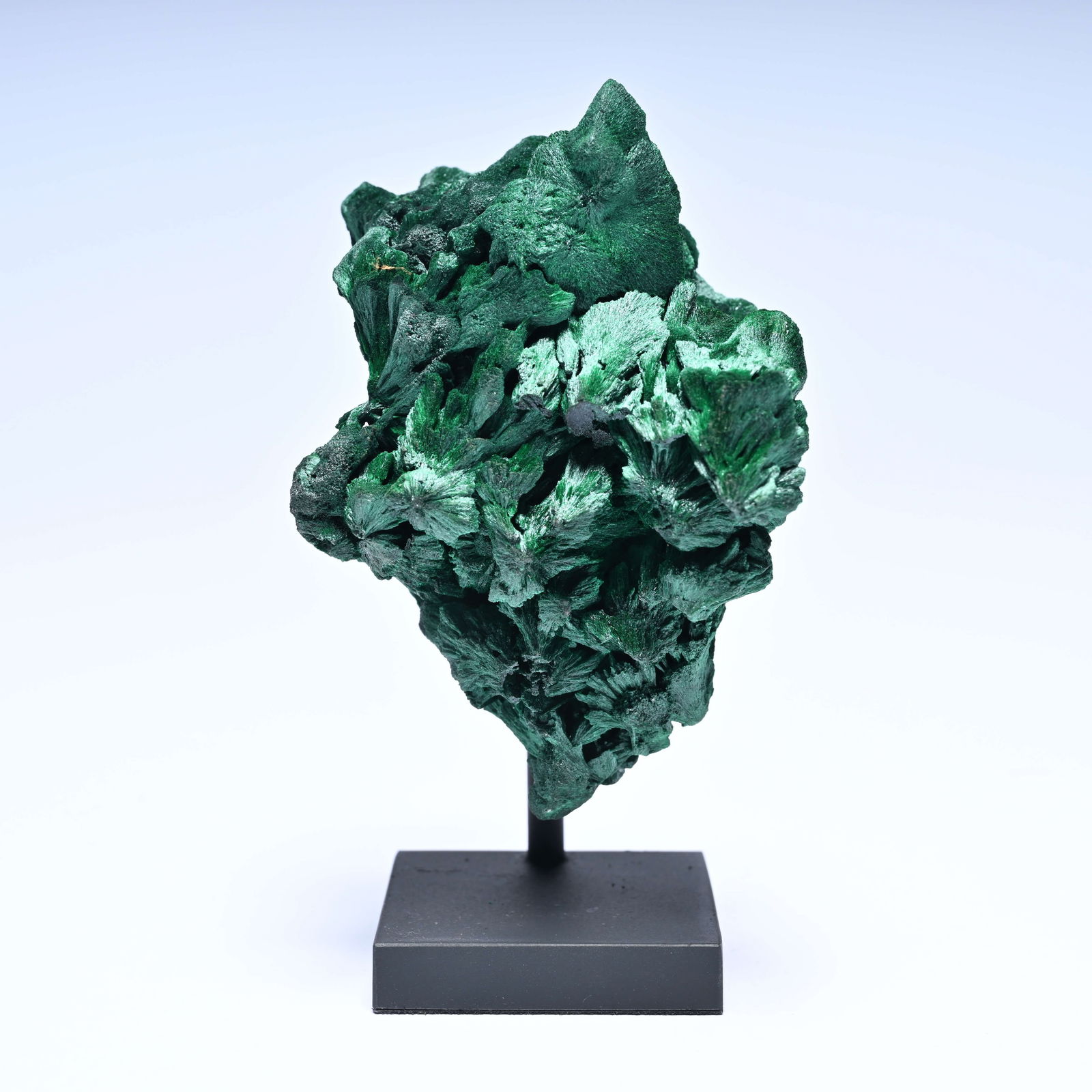 Green malachite Crystal border region Zambia/Congo: Green malachite Crystal border region Zambia/CongoGroene malachiet Kristalijn grensgebied Zambia/CongoH 13 cm