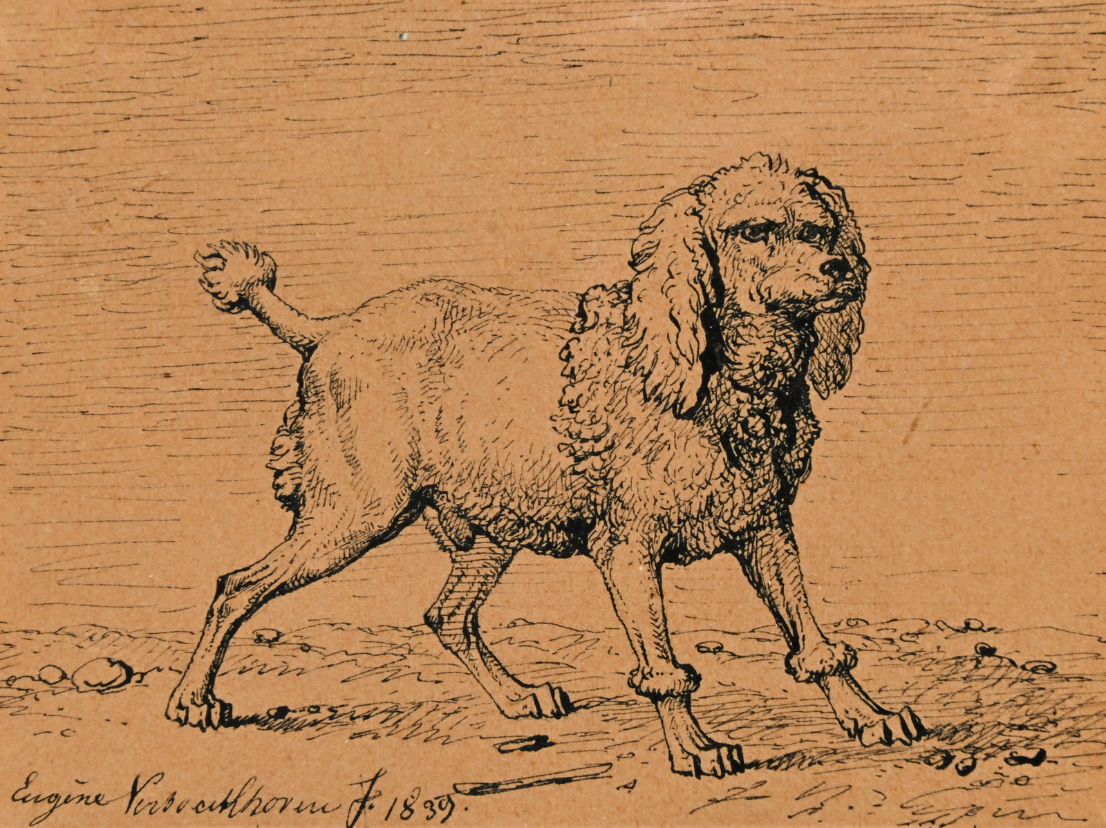 Eugene VERBOECKHOVEN (1798/99-1881), pen drawing of a dog 1839, signed (1 of 4)
