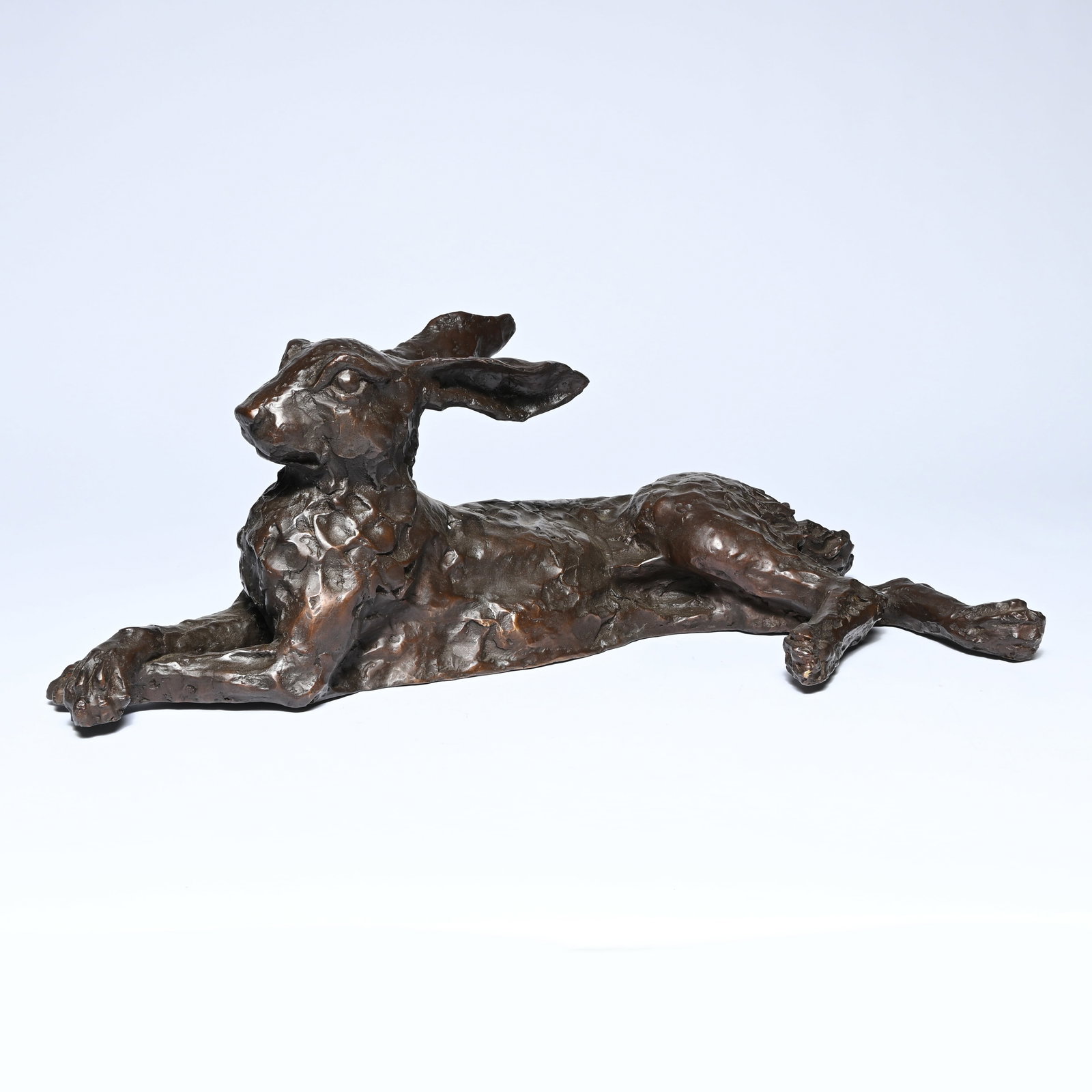 Patinated bronze sculpture of a resting hare: Patinated bronze sculpture of a resting hareGepatineerd bronzen sculptuur van rustende haas62 x 30 x 21.5 cm