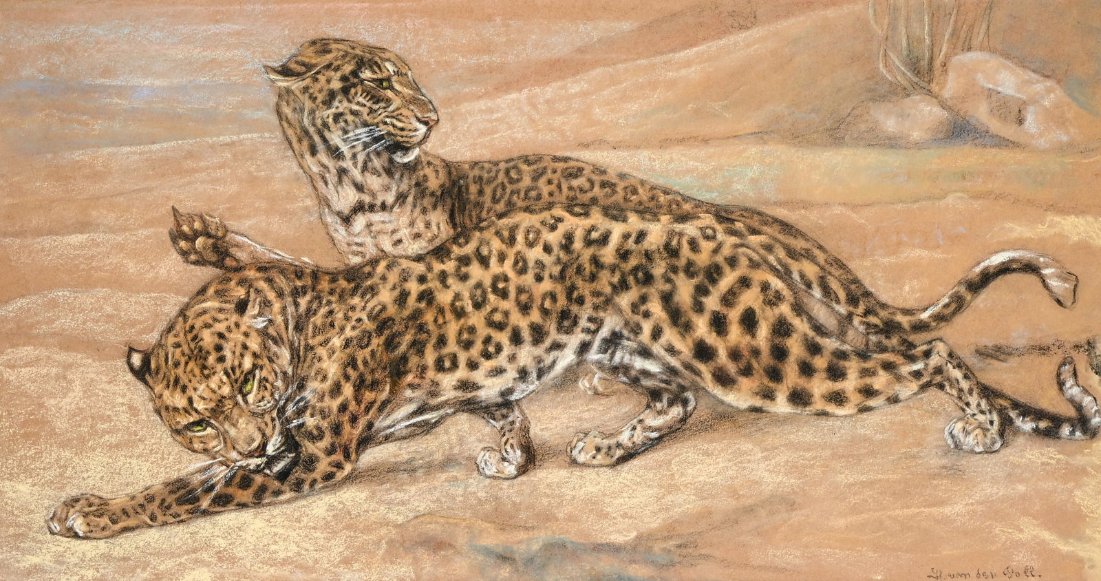 Daniel Herbert VAN DER POLL (1877-1963), Leopards, pastel, signed (1 of 6)