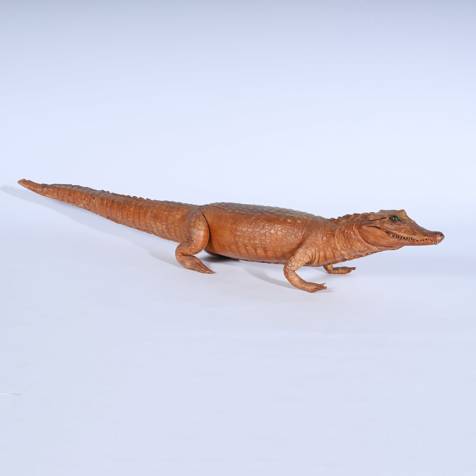 Stuffed crocodile, glass-eyed caiman, late 1900s (1 of 9)